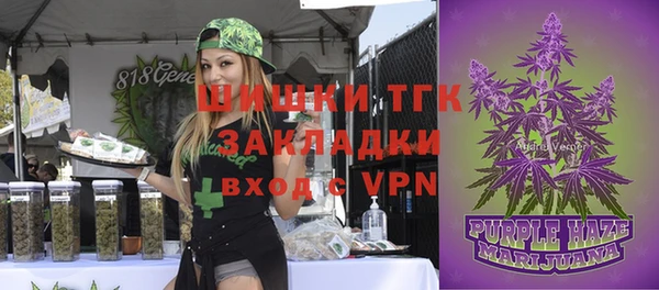 не бодяженный Михайлов
