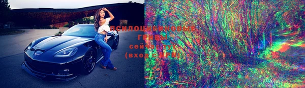 гидропоника Абаза