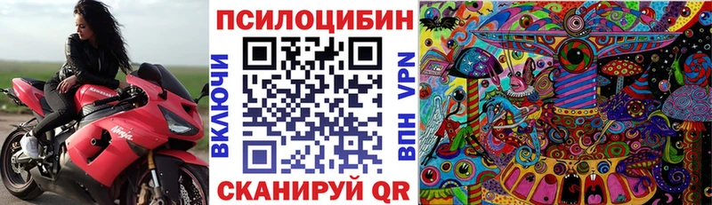 магазин продажи   Сольвычегодск  Галлюциногенные грибы MAGIC MUSHROOMS 